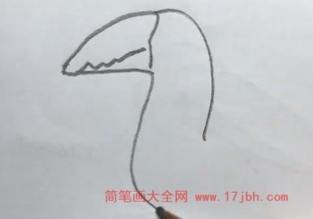 巨嘴鸟的简笔画