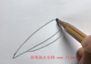 巨嘴鸟简笔画