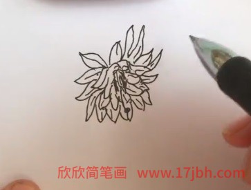 令箭荷花简笔画