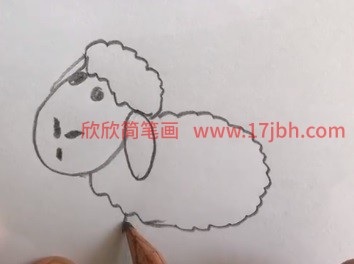 绵羊怎么画简笔画图片