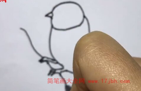 小麻雀简笔画