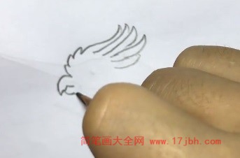 凤头鹦鹉简笔画