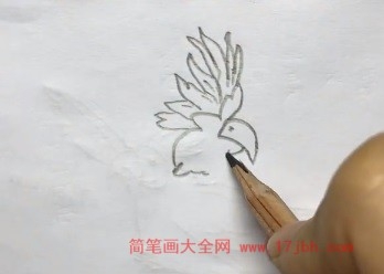 简笔画鹦鹉图片