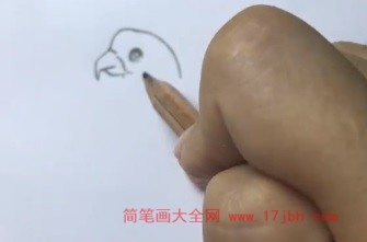 小鹦鹉简笔画