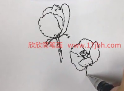 简笔画 虞美人