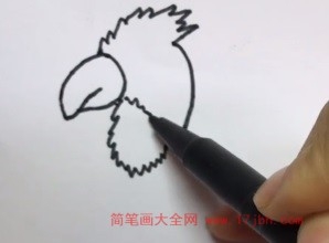 鹦鹉卡通简笔画