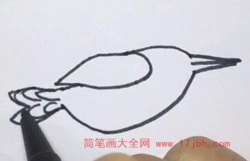 翠鸟的简笔画