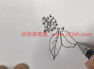 桂花简笔画彩色