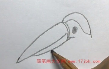 巨嘴鸟简笔画