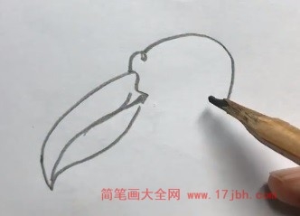 大嘴鸟简笔画图片
