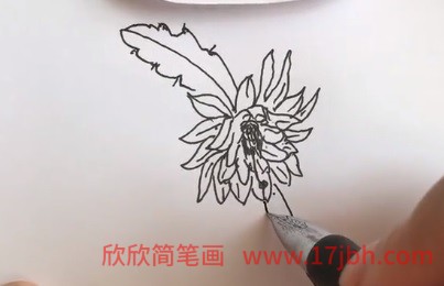 令箭荷花图片简笔画