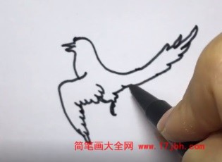 喜鹊和树简笔画
