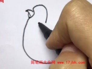 画鸟的图片简笔画