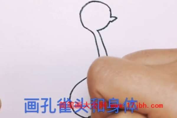 孔雀开屏简笔画