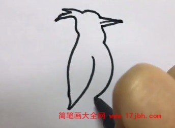 啄木鸟简笔画彩色