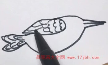 翠鸟的简笔画