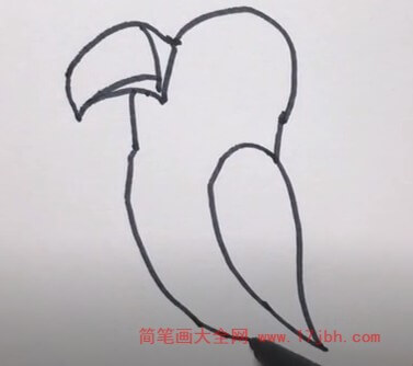 小鸟简笔画涂色