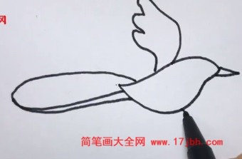 喜鹊简笔画图片彩色