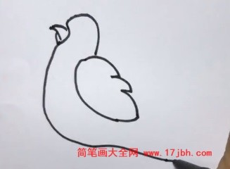 画鸟的图片简笔画