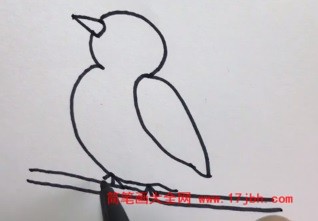 小鸟儿童简笔画