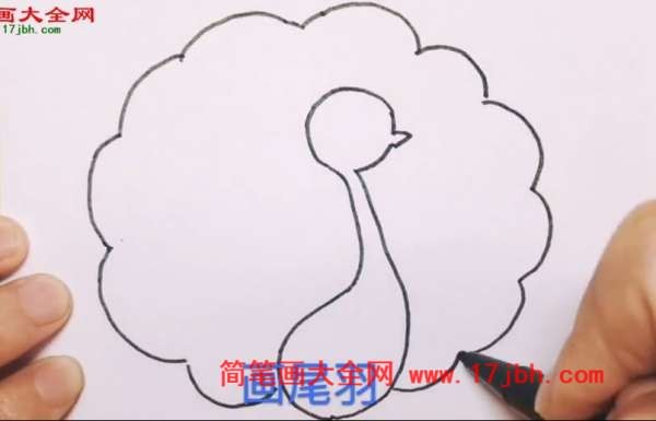 孔雀开屏简笔画
