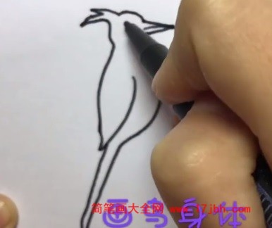 啄木鸟简笔画彩色