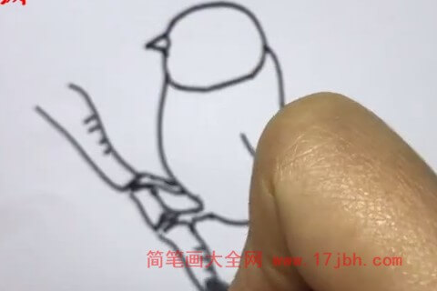 小麻雀简笔画