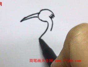 白鹭图片简笔画上颜色