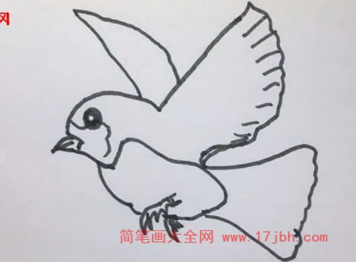 飞的小鸟简笔画