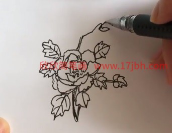 芍药简笔画