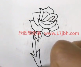 怎样画月季花的简笔画