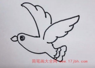 飞翔的小鸟简笔画