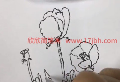 简笔画 虞美人