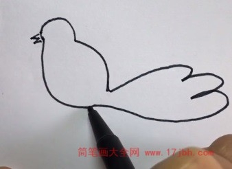 幼儿小鸟简笔画图片