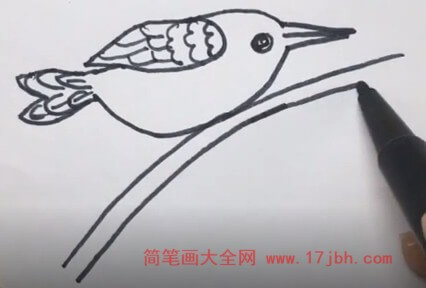 翠鸟的简笔画