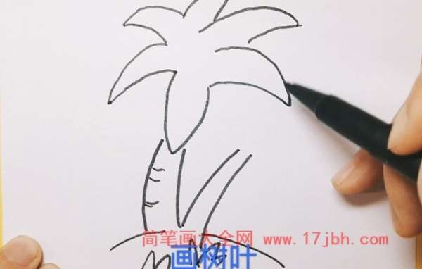 简笔画椰子树的画法