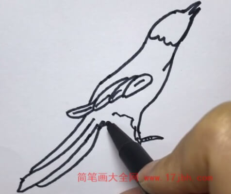 喜鹊怎么画简笔画