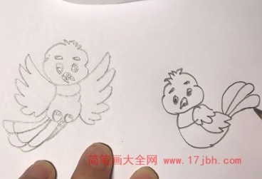 天上飞的鸟简笔画