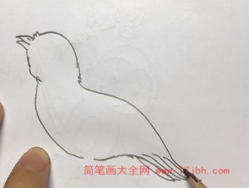 简笔画鸟的画法最简单