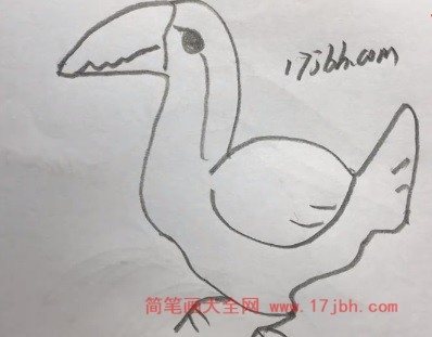 巨嘴鸟简笔画