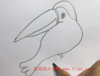 巨嘴鸟简笔画