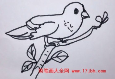 麻雀简笔画涂色