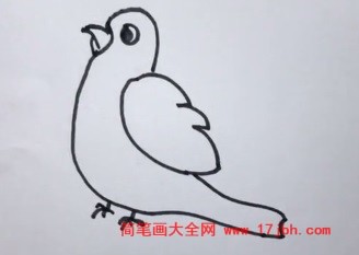 画鸟的图片简笔画