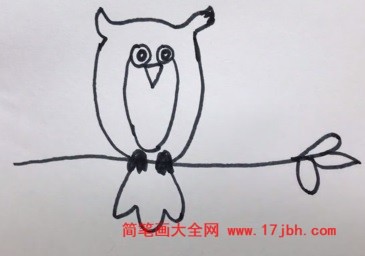 树上的猫头鹰简笔画