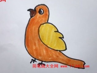 画鸟的图片简笔画