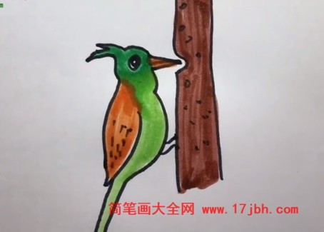 啄木鸟简笔画彩色