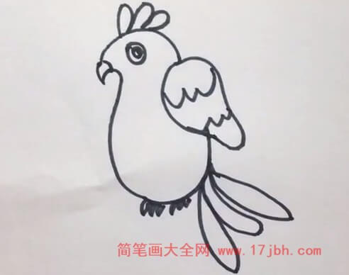 鸟简笔画怎么画