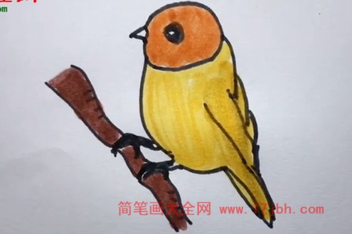 小麻雀简笔画