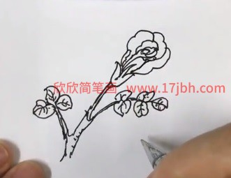 月季花的简笔画怎么画