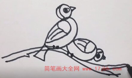 小麻雀图片简笔画